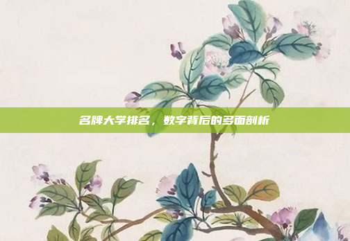 名牌大学排名，数字背后的多面剖析
