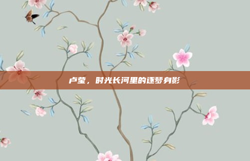 卢莹，时光长河里的逐梦身影