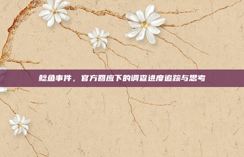 鲶鱼事件，官方回应下的调查进度追踪与思考