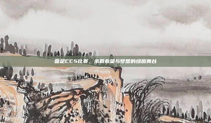 国足CC5比赛,承载希望与梦想的绿茵舞台