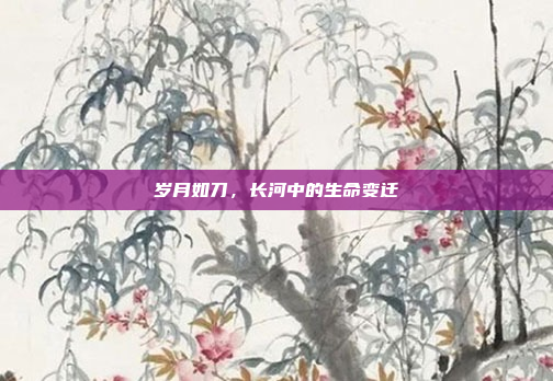 岁月如刀，长河中的生命变迁