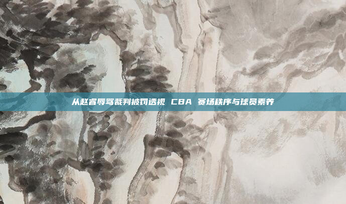 从赵睿辱骂裁判被罚透视 CBA 赛场秩序与球员素养
