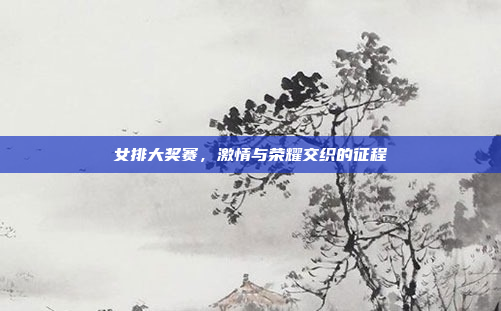 女排大奖赛，激情与荣耀交织的征程