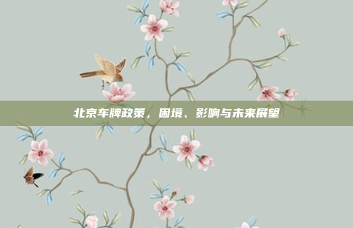 北京车牌政策，困境、影响与未来展望