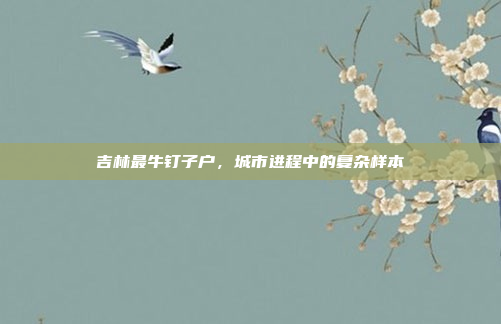 吉林最牛钉子户,城市进程中的复杂样本