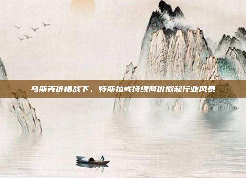 马斯克价格战下,特斯拉或持续降价掀起行业风暴
