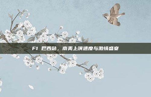 F1 巴西站,南美上演速度与激情盛宴