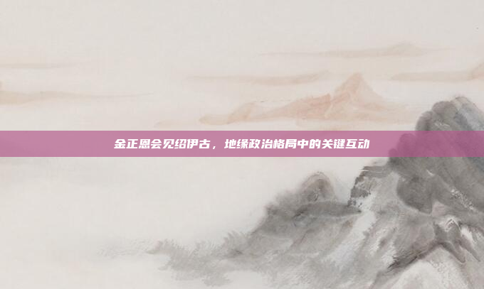 金正恩会见绍伊古，地缘政治格局中的关键互动
