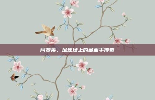 阿费莱，足球场上的多面手传奇