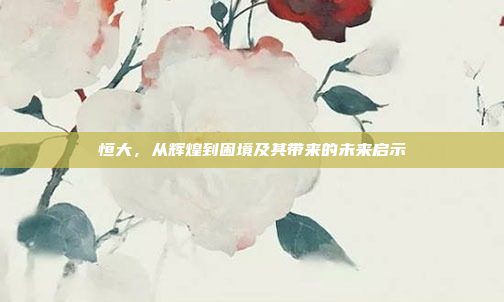 恒大,从辉煌到困境及其带来的未来启示