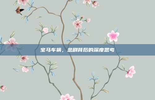 宝马车祸，悲剧背后的深度思考