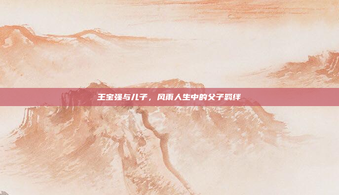 王宝强与儿子，风雨人生中的父子羁绊