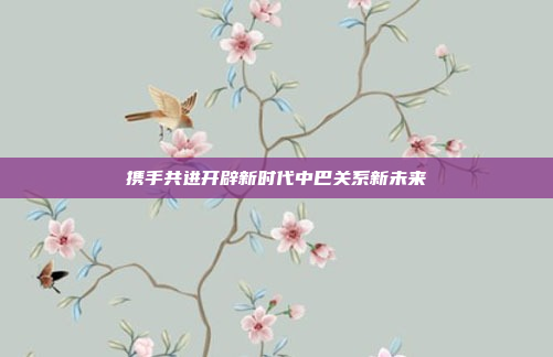 携手共进开辟新时代中巴关系新未来