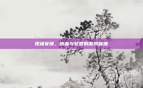 现场女排，热血与梦想的激昂碰撞