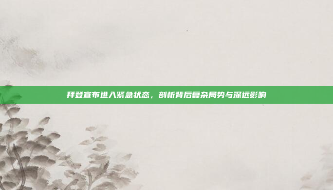 拜登宣布进入紧急状态,剖析背后复杂局势与深远影响