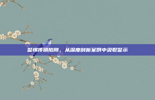 警惕传销陷阱，从深度剖析案例中汲取警示