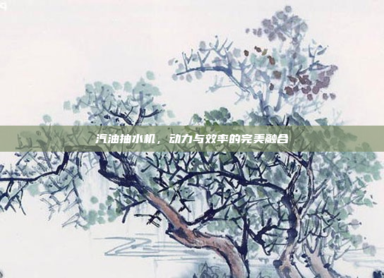 汽油抽水机,动力与效率的完美融合