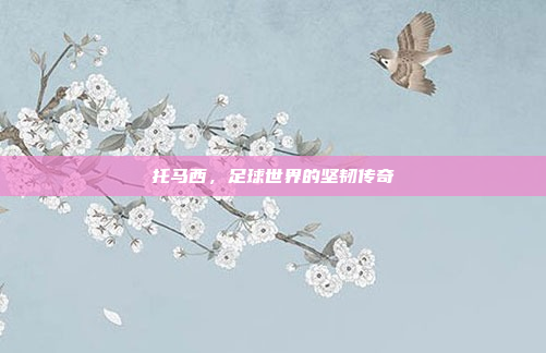 托马西，足球世界的坚韧传奇