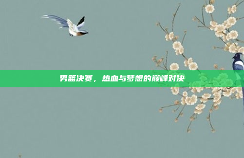 男篮决赛，热血与梦想的巅峰对决