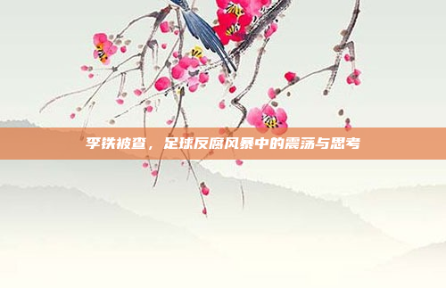 李铁被查,足球反腐风暴中的震荡与思考