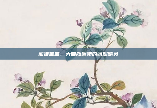 熊猫宝宝，大自然馈赠的萌趣精灵