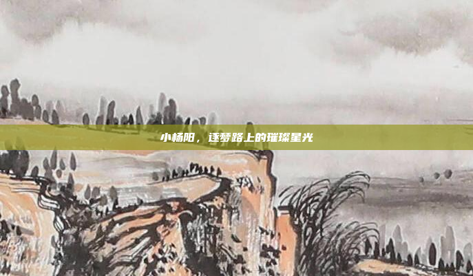 小杨阳，逐梦路上的璀璨星光