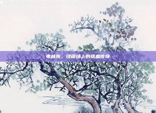 弗林斯，绿茵场上的铁血传奇