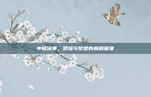 中超决赛，荣耀与梦想的巅峰碰撞