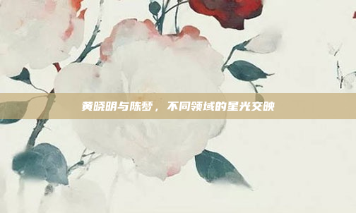 黄晓明与陈梦，不同领域的星光交映