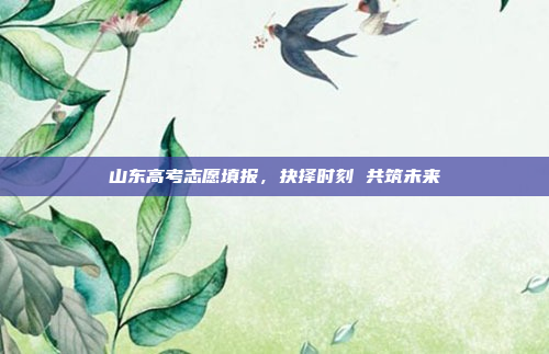山东高考志愿填报,抉择时刻 共筑未来