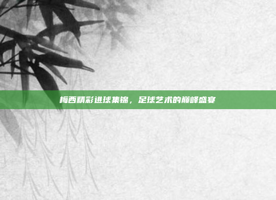 梅西精彩进球集锦，足球艺术的巅峰盛宴