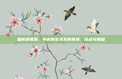 国防部视角，中美两军关系的现状、挑战与展望