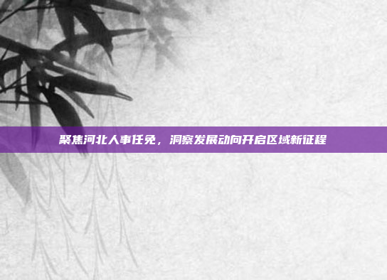 聚焦河北人事任免,洞察发展动向开启区域新征程