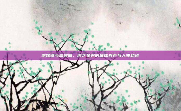 谢霆锋与高圆圆，演艺星途的璀璨光芒与人生轨迹