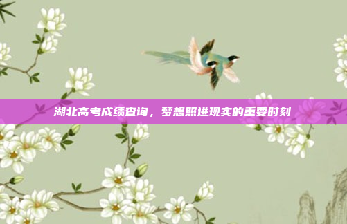 湖北高考成绩查询，梦想照进现实的重要时刻