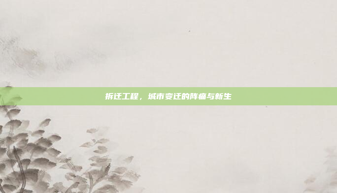 拆迁工程，城市变迁的阵痛与新生