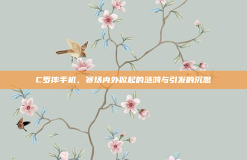 C罗摔手机，赛场内外掀起的涟漪与引发的沉思