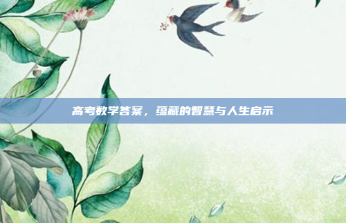 高考数学答案,蕴藏的智慧与人生启示