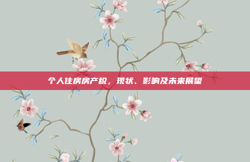 个人住房房产税,现状、影响及未来展望