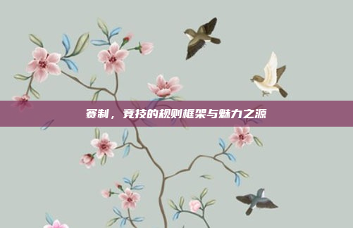 赛制,竞技的规则框架与魅力之源