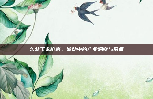 东北玉米价格,波动中的产业洞察与展望
