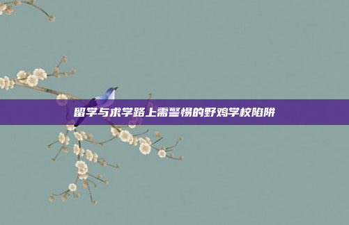 留学与求学路上需警惕的野鸡学校陷阱