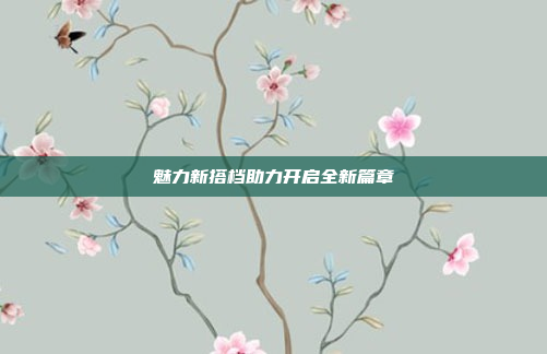 魅力新搭档助力开启全新篇章