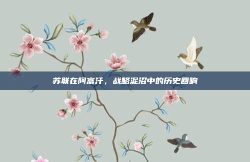 苏联在阿富汗,战略泥沼中的历史回响