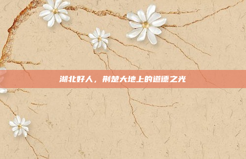 湖北好人,荆楚大地上的道德之光