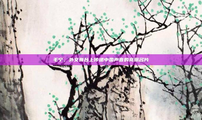 毛宁，外交舞台上传递中国声音的亮丽名片