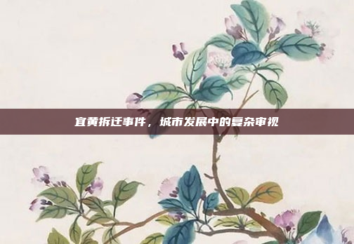 宜黄拆迁事件，城市发展中的复杂审视