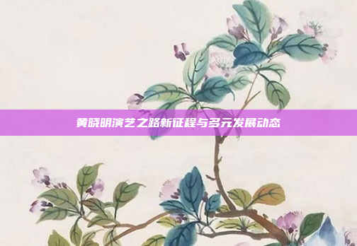 黄晓明演艺之路新征程与多元发展动态