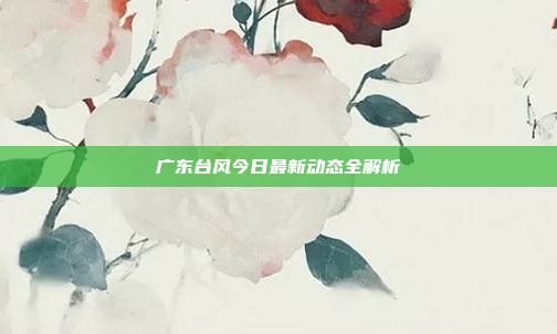 广东台风今日最新动态全解析