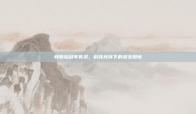 特斯拉刹车失灵,科技光环下的安全隐忧